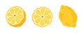 Set of three lemons on a white background. Vector illustration Royalty Free Stock Photo