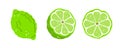 Set of three limes on a white background. Vector illustration Royalty Free Stock Photo
