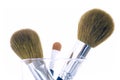 Set of three makeup brushes