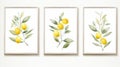 Set of Three Minimalist Watercolor Lemon Tree Branches AI Generated