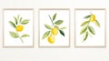 Set of Three Minimalist Watercolor Lemon Tree Branches AI Generated