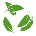 A set of three multicolored mint leaf icons in different locations. Image of a single sheet, two parallel sheets and two