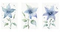 Set of Three Mystical Watercolor Moonflower Blossoms AI Generated