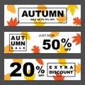 Set of three nature horizontal banners with colorful autumn leaves Royalty Free Stock Photo