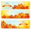 Set of three nature banners with colorful autumn leaves. Royalty Free Stock Photo