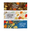 Set of three nature banners with colorful autumn leaves. vector illustration Royalty Free Stock Photo