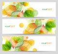 Set of three nature summer vector banners with floral elements.