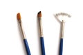 A set of three paintbrushes with different shaped tips