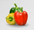 Set of three peppers. Yellow, red and green pepper. Realistic Vector illustration of paprika.