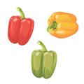 Set of three peppers. Yellow, red, green pepper.