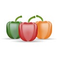 Set Of Three Peppers. Yellow, Red And Green Pepper On A White Background.