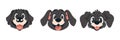 Set of three pieces of entertaining canine faces. Cartoon style, Vector Illustration