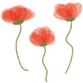 Set of three poppy flower vector illustrations