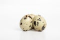 Set of three quail eggs isolated on white background with shadow Royalty Free Stock Photo