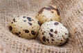 Set of three raw quail eggs with spotted surface on a sackcloth. Close up Royalty Free Stock Photo