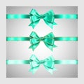 Set of three realistic light green silk ribbon bow with gold glitter shiny stripes, vector illustration elements, for decoration, Royalty Free Stock Photo