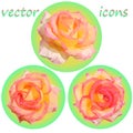 Set of three round icons of delicate roses in low poly style