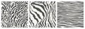 Set of three seamless zebra skin patterns. Royalty Free Stock Photo