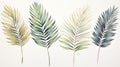 Set of Three Serene Watercolor Palm Frond Leaves AI Generated