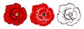 Set of three poppies flowers. Vector illustration isolated on a white background. template for Remembrance day in hand drawn style