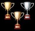 Set of three Sport Cups Royalty Free Stock Photo