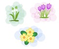 A set of three spring flowers on soft backgrounds Royalty Free Stock Photo