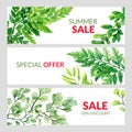 Set of three summer banners with green forest ferns Royalty Free Stock Photo