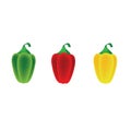 Set of three sweet paprika. Green, red and yellow pepper. Vector illustration.