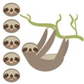 Set Three-toed sloths funny muzzle with different expression of emotions on white background. Vector