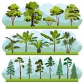 Set of three types of forest landscapes.