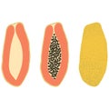 Set of three types of papaya Ã¢â¬â half, with bones, in the skin. Vector illustration