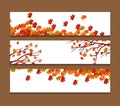 Set of three vector banners with colorful autumn leaves Royalty Free Stock Photo