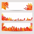 Set of three vector banners with colorful autumn leaves Royalty Free Stock Photo