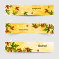 Set of three vector banners with colorful autumn leaves. eps 10 Royalty Free Stock Photo