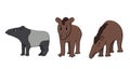 Set of three Vector cute outline doodle cartoon young brown and black white american south pinchaque tapirus mountain wild ecuador