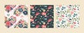 Set of three vector floral seamless patterns. A colorful endless pattern of flowers and plants. A Romantic collection Royalty Free Stock Photo