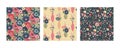 Set of three vector floral seamless patterns. A colorful endless pattern of flowers and plants. A Romantic collection Royalty Free Stock Photo