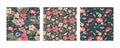 Set of three vector floral seamless patterns. A colorful endless pattern of flowers and plants. A Romantic collection Royalty Free Stock Photo