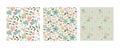 Set of three vector floral seamless patterns. A colorful endless pattern of flowers and plants. A Romantic collection Royalty Free Stock Photo