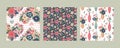 Set of three vector floral seamless patterns. A colorful endless pattern of flowers and plants. A Romantic collection Royalty Free Stock Photo