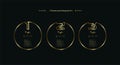 Set of three Vector golden, premuim, luxury multipurpose Infographic template design, thee options and elements options -