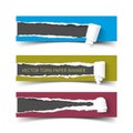 Set of three vector torn paper banners with rolls
