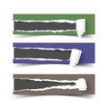 Set of three vector torn paper banners with rolls