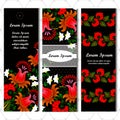 Set of three vertical banners. Flower. Place for your text.