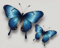 Set of three very beautiful blue butterflies Royalty Free Stock Photo