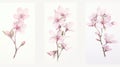 Set of Three Watercolor Almond Blossom Petals AI Generated