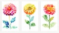 Set of Three Watercolor Zinnia Flowers in a Field AI Generated