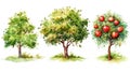 Set of Three Whimsical Watercolor Apple Tree Fruit AI Generated