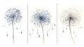 Set of Three Whimsical Watercolor Dandelion Seeds AI Generated