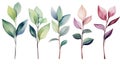 Set of Three Whimsical Watercolor Rubber Plant Leaves AI Generated
